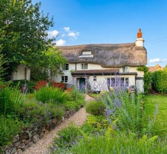 Exbourne, Okehampton, EX20