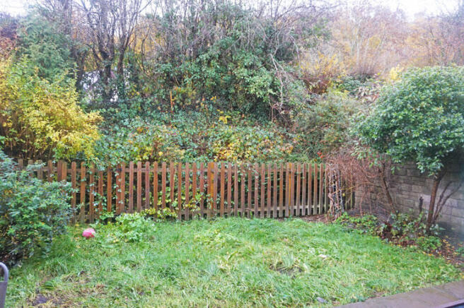 Photo 14