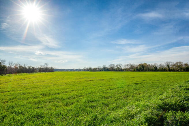 Fields