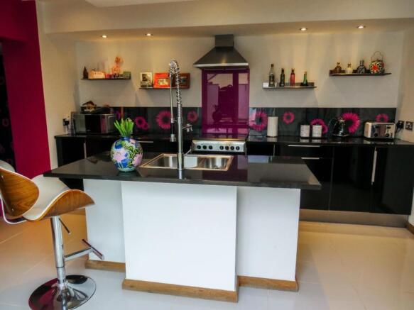 IMG_4731.JPG