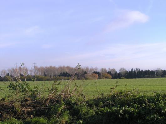 Views of property