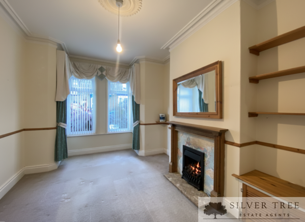 Gemini_Generated_Image_gv1042gv1042gv10