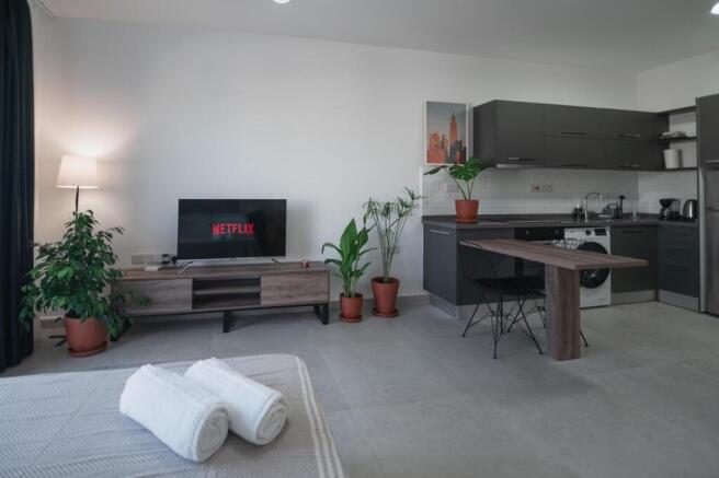 Luxury Fully Furnished Studio Apartment on Wellness Development Image 9999 3