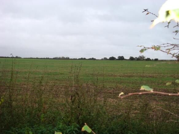 Overlooking Fields