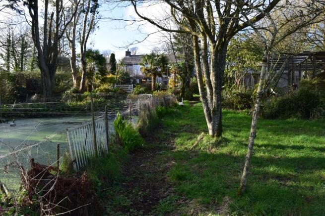 Garden & Pond