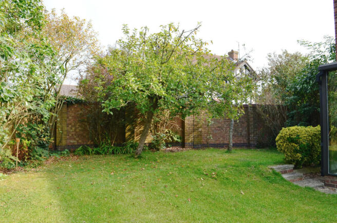 Photo 23