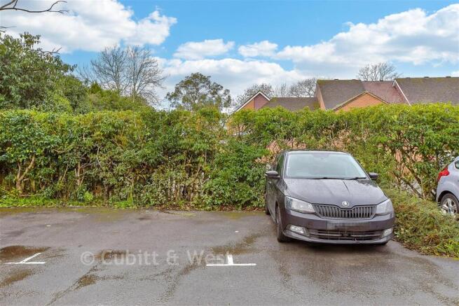 Driveway/Parking