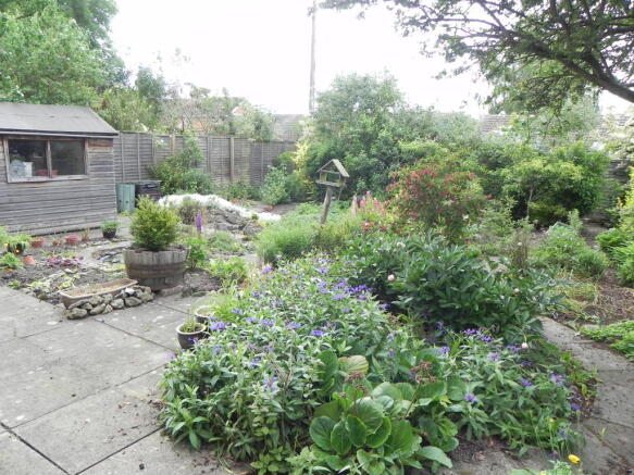 Photo 12