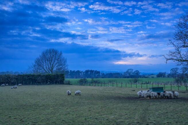 Where The Skies Are Never Ending