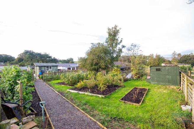 Vegetable Plots