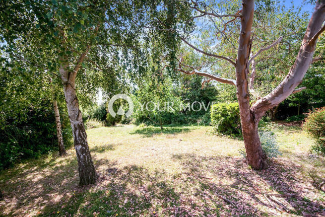 Land At Rear