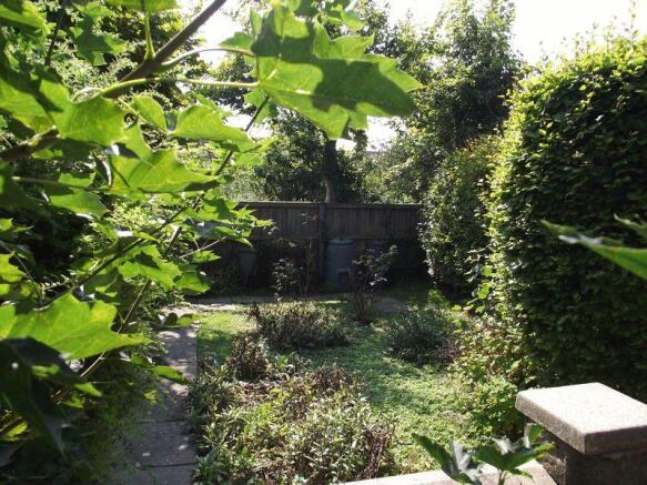 Vegetable Area