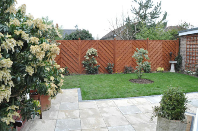 Picture 9