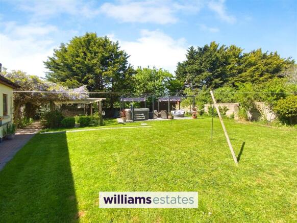 sunny garden