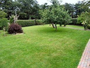 Grounds