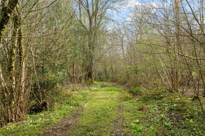 Track & Woodland