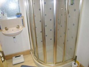 Downstairs Shower