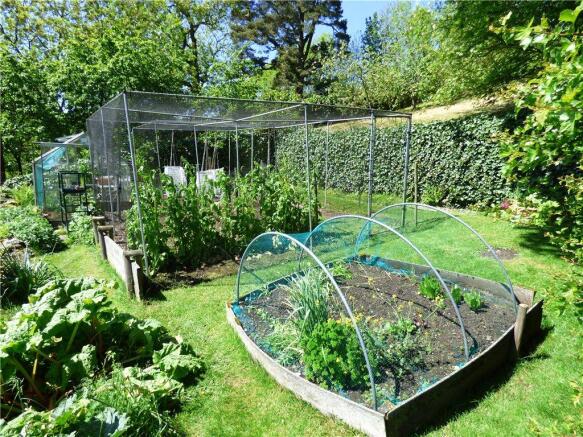 Vegetable Garden