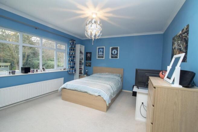 Photo 15