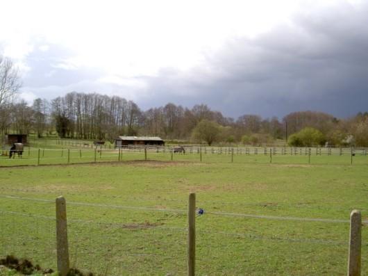 View To West