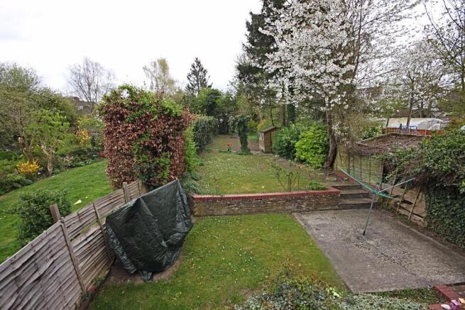 View of garden
