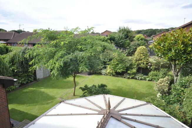Photo 24