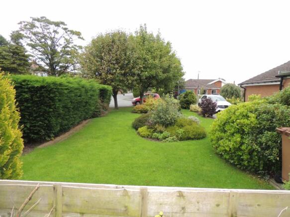 Back garden