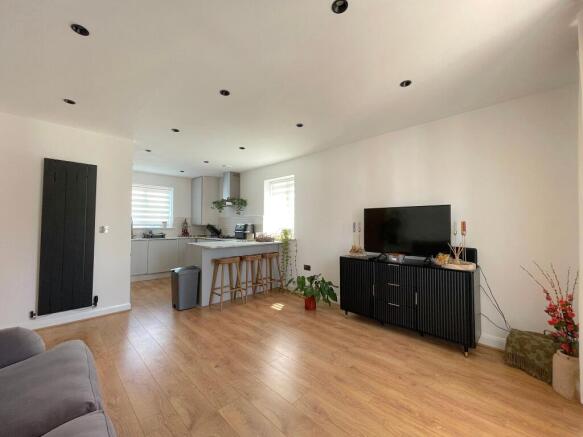 Living Room/Dining Room/Kitchen (1)