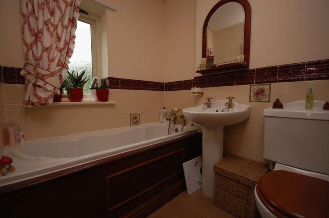 Photo 7