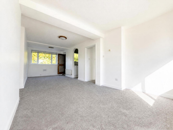 Brightened Carpet Floor Edit.png