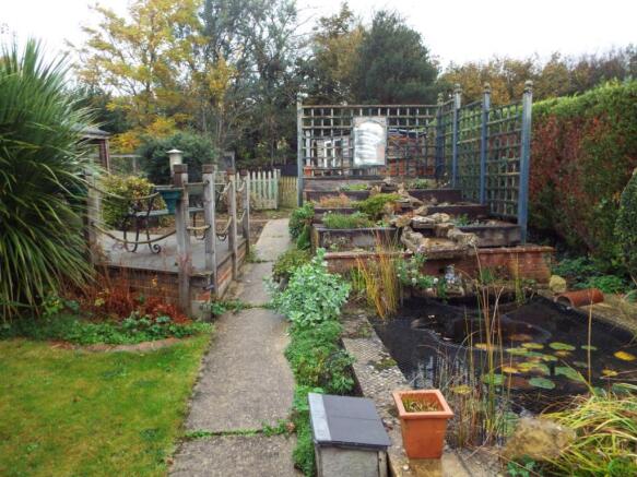 Vegetable Garden