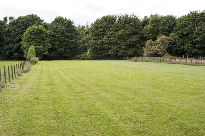 Paddock