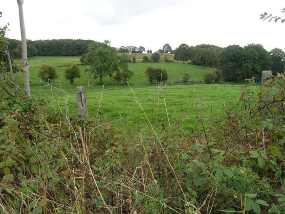 View from front