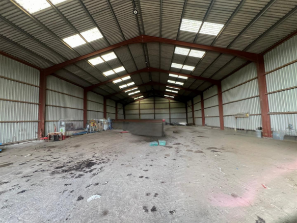 Untitled design (17).png