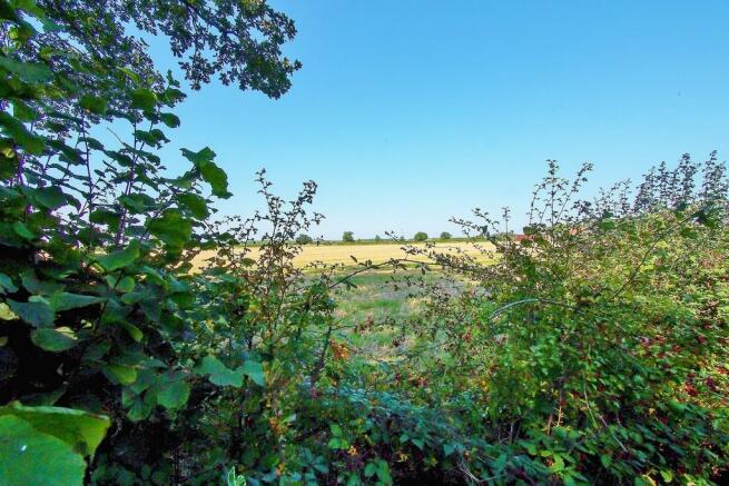 field views to th...