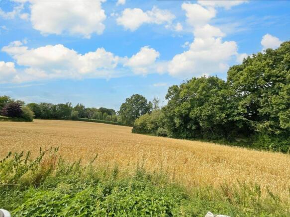 View From Garden