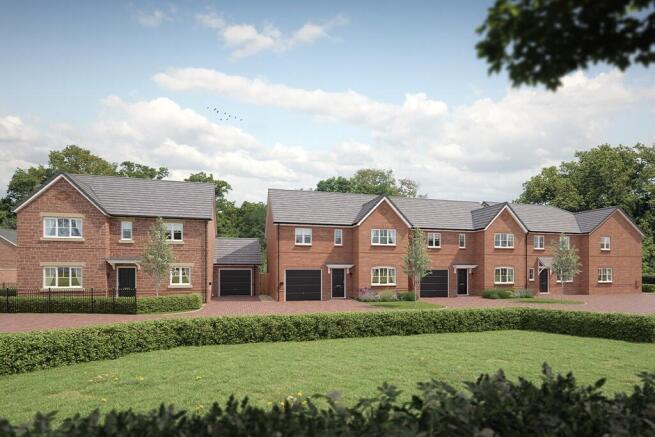 Thorndon CGI