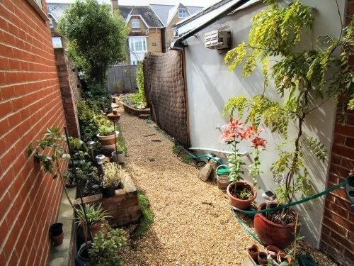 Garden to rear