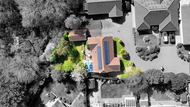 Drone Birdseye B&W.jpg