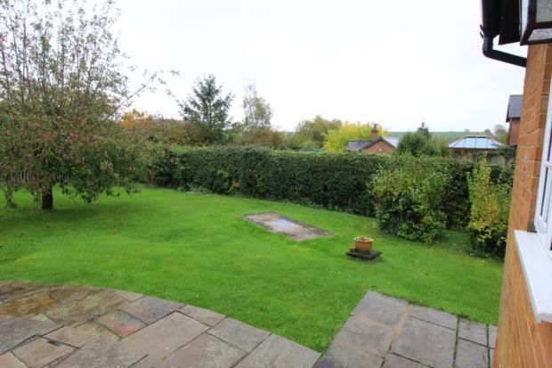 Rear Garden (3)