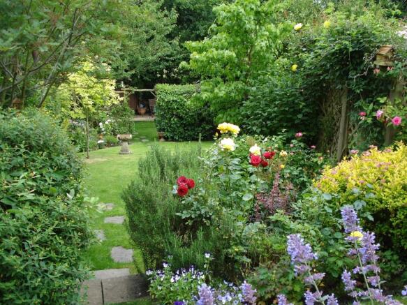 Photo 11
