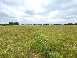 The Shamba, Short Causeway, Ely CB6 2DG