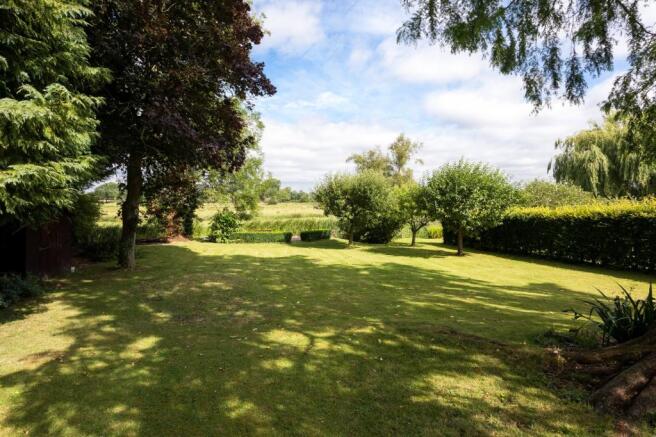 Mature Garden