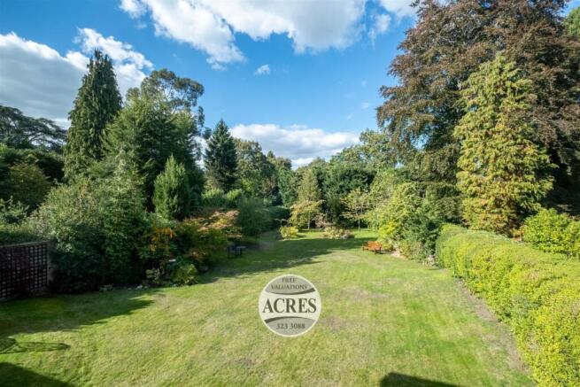 Full size-15 (Large).jpg