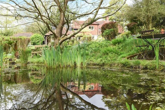 Pond