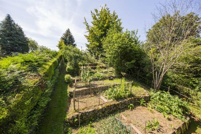 Veggie Patch