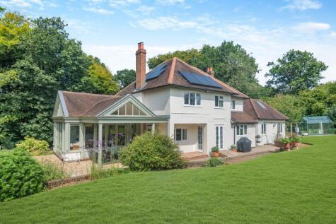 Powntley Copse, Hampshire
