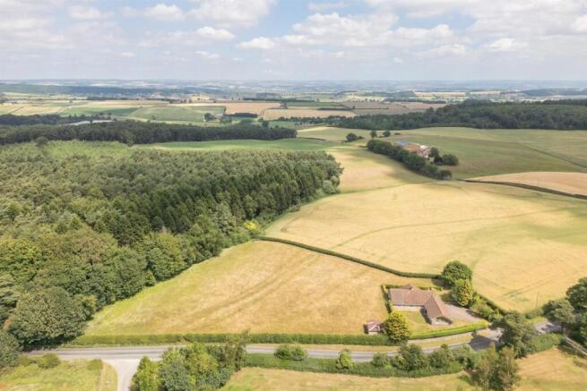 Thornton Hill