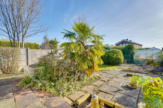 Back Garden