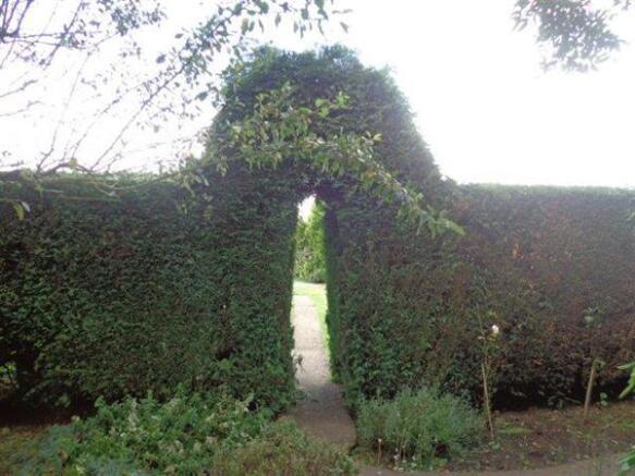 Photo 23